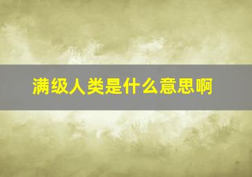 满级人类是什么意思啊