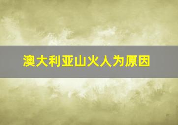 澳大利亚山火人为原因