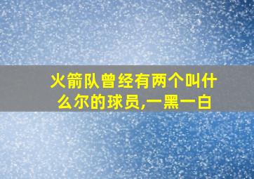 火箭队曾经有两个叫什么尔的球员,一黑一白