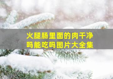 火腿肠里面的肉干净吗能吃吗图片大全集