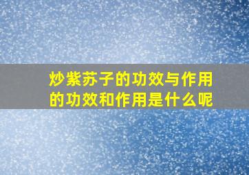 炒紫苏子的功效与作用的功效和作用是什么呢