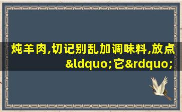 炖羊肉,切记别乱加调味料,放点“它”,汤鲜肉嫩