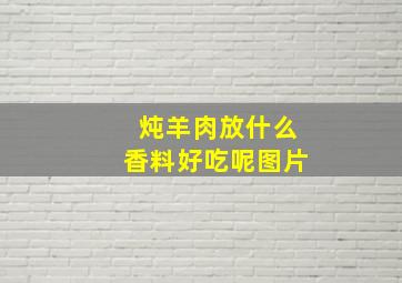 炖羊肉放什么香料好吃呢图片