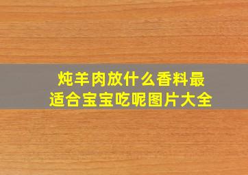 炖羊肉放什么香料最适合宝宝吃呢图片大全