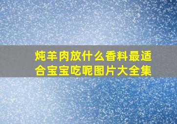 炖羊肉放什么香料最适合宝宝吃呢图片大全集