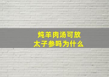 炖羊肉汤可放太子参吗为什么