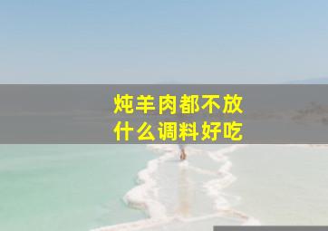 炖羊肉都不放什么调料好吃