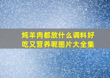 炖羊肉都放什么调料好吃又营养呢图片大全集