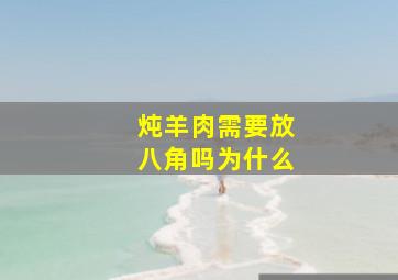 炖羊肉需要放八角吗为什么