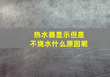 热水器显示但是不烧水什么原因呢