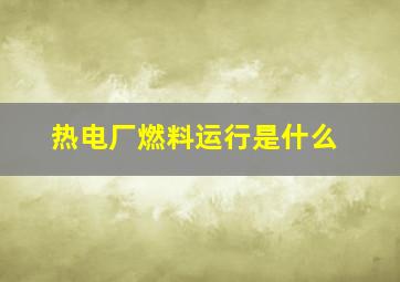 热电厂燃料运行是什么