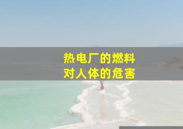 热电厂的燃料对人体的危害