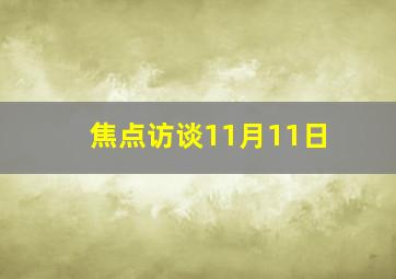 焦点访谈11月11日