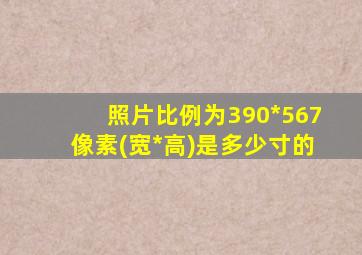 照片比例为390*567像素(宽*高)是多少寸的