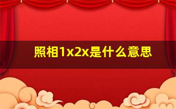 照相1x2x是什么意思