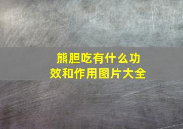 熊胆吃有什么功效和作用图片大全