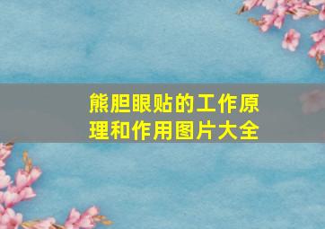 熊胆眼贴的工作原理和作用图片大全