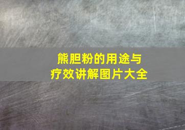 熊胆粉的用途与疗效讲解图片大全