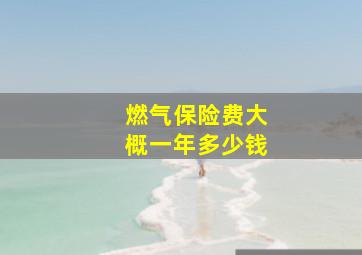 燃气保险费大概一年多少钱