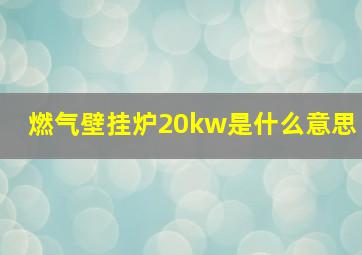 燃气壁挂炉20kw是什么意思