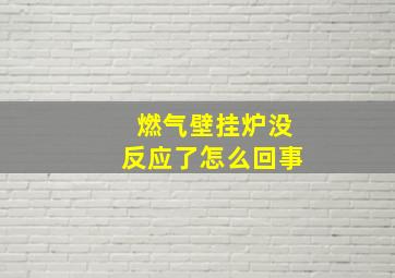 燃气壁挂炉没反应了怎么回事