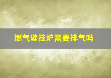 燃气壁挂炉需要排气吗