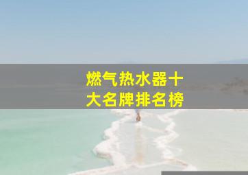 燃气热水器十大名牌排名榜