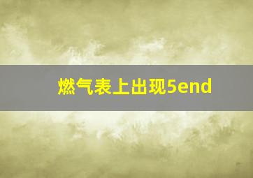 燃气表上出现5end