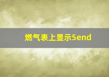 燃气表上显示5end