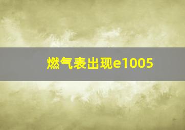 燃气表出现e1005