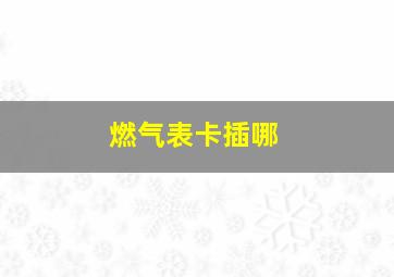 燃气表卡插哪