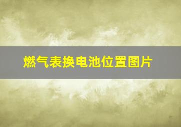 燃气表换电池位置图片