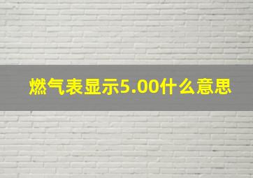 燃气表显示5.00什么意思