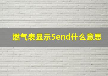 燃气表显示5end什么意思