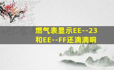 燃气表显示EE--23和EE--FF还滴滴响