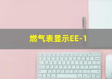 燃气表显示EE-1