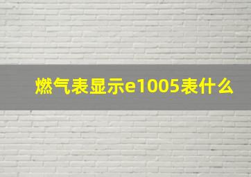 燃气表显示e1005表什么