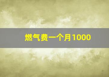 燃气费一个月1000