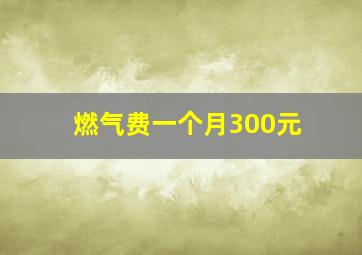 燃气费一个月300元