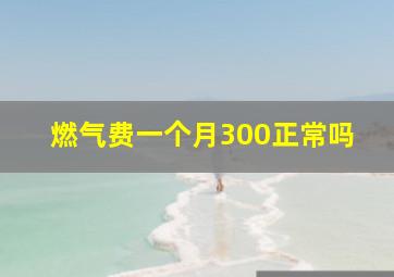 燃气费一个月300正常吗