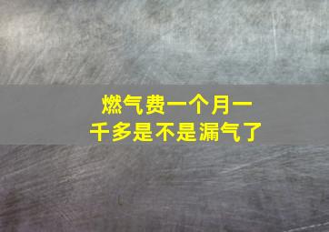 燃气费一个月一千多是不是漏气了