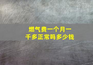 燃气费一个月一千多正常吗多少钱