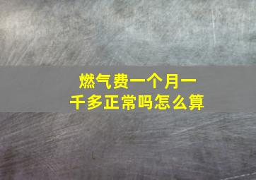 燃气费一个月一千多正常吗怎么算