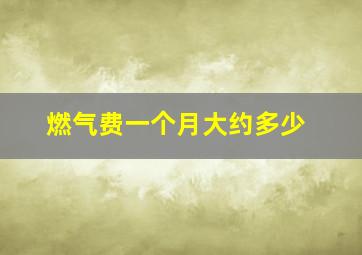 燃气费一个月大约多少