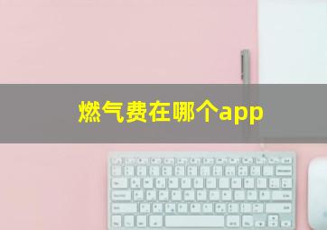 燃气费在哪个app