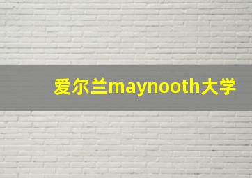 爱尔兰maynooth大学