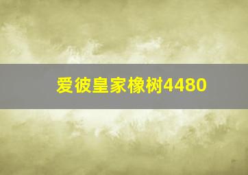 爱彼皇家橡树4480