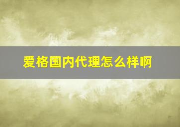 爱格国内代理怎么样啊