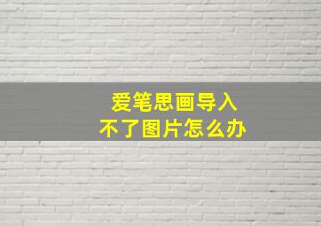 爱笔思画导入不了图片怎么办