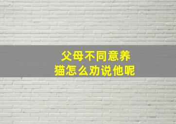 父母不同意养猫怎么劝说他呢